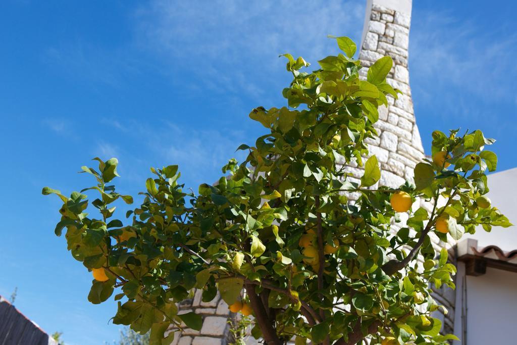 B&B La Pomelia Agrigento Luaran gambar
